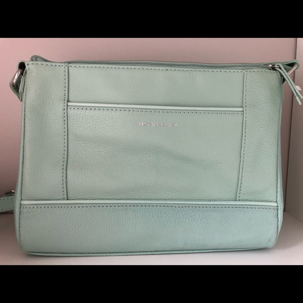Light green Tignanello crossbody bag.